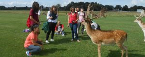 Central School of English students with deer in Phoenix Park